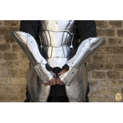 Arm Braces "Guardian"